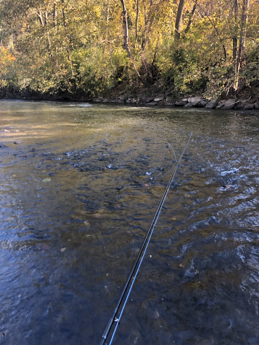 FrankCaputoMD's tweet photo. This is the river that caught on fire 🔥 years ago due to pollution ..we can make a difference .. now with a thriving fishery... #cuyahoga #chasingchrome #chagrinriveroutfitters https://t.co/gDTkSSK6ks