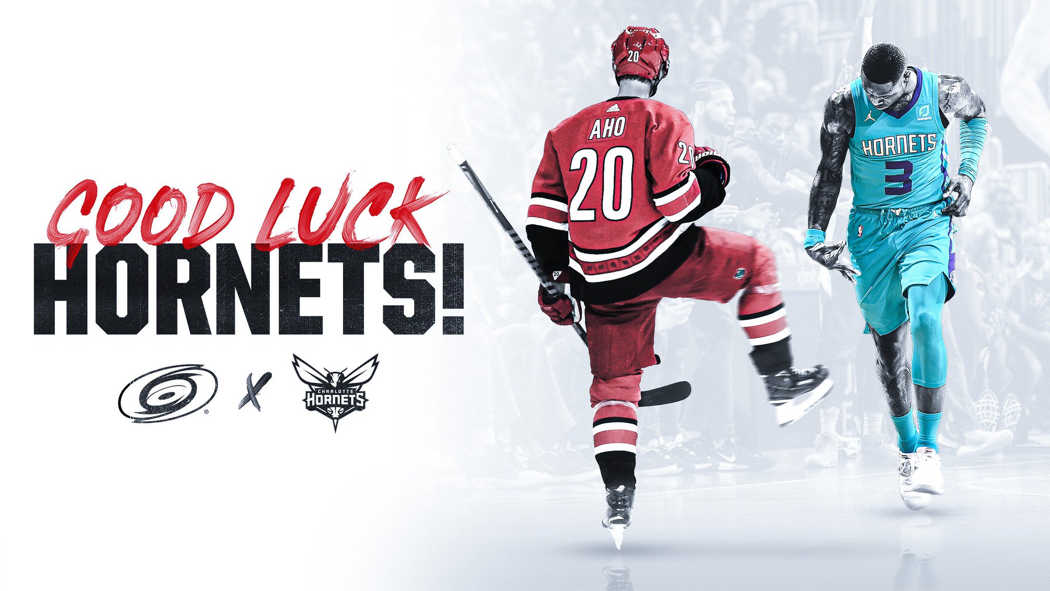 carolina hurricanes hornets jersey