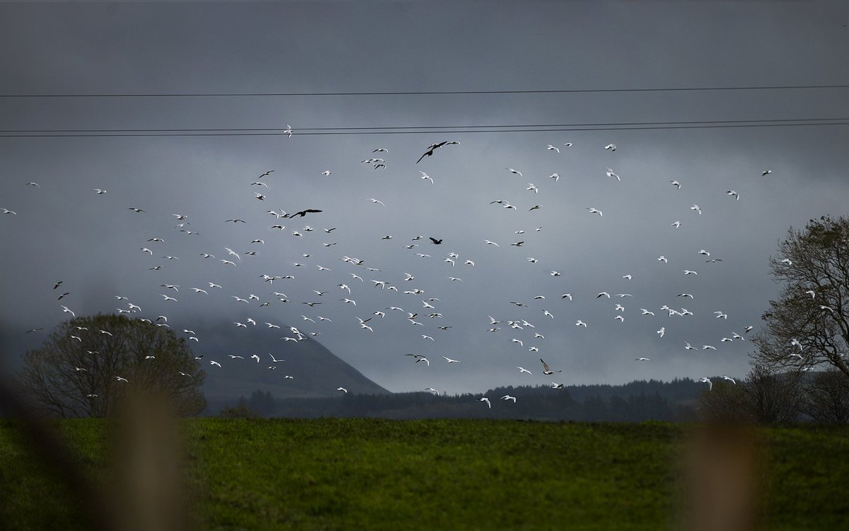 Wintry sunset with rainbow tonight #sligo #rainbow