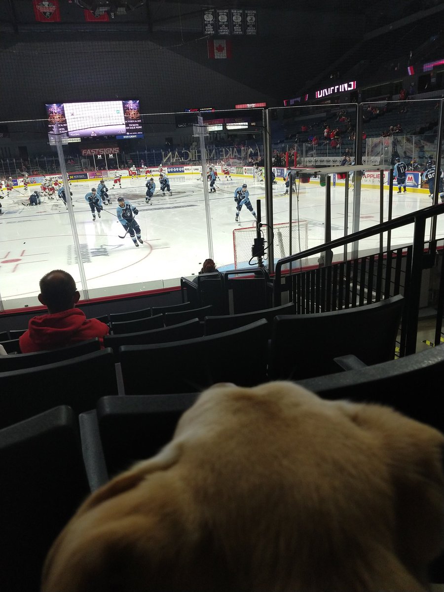 longleaf616's tweet photo. John is ready for some #WinningWednesday @griffinshockey
#journeysofjohn #gogrg #griffins #WinningWednesday https://t.co/PHIRD4YiMv