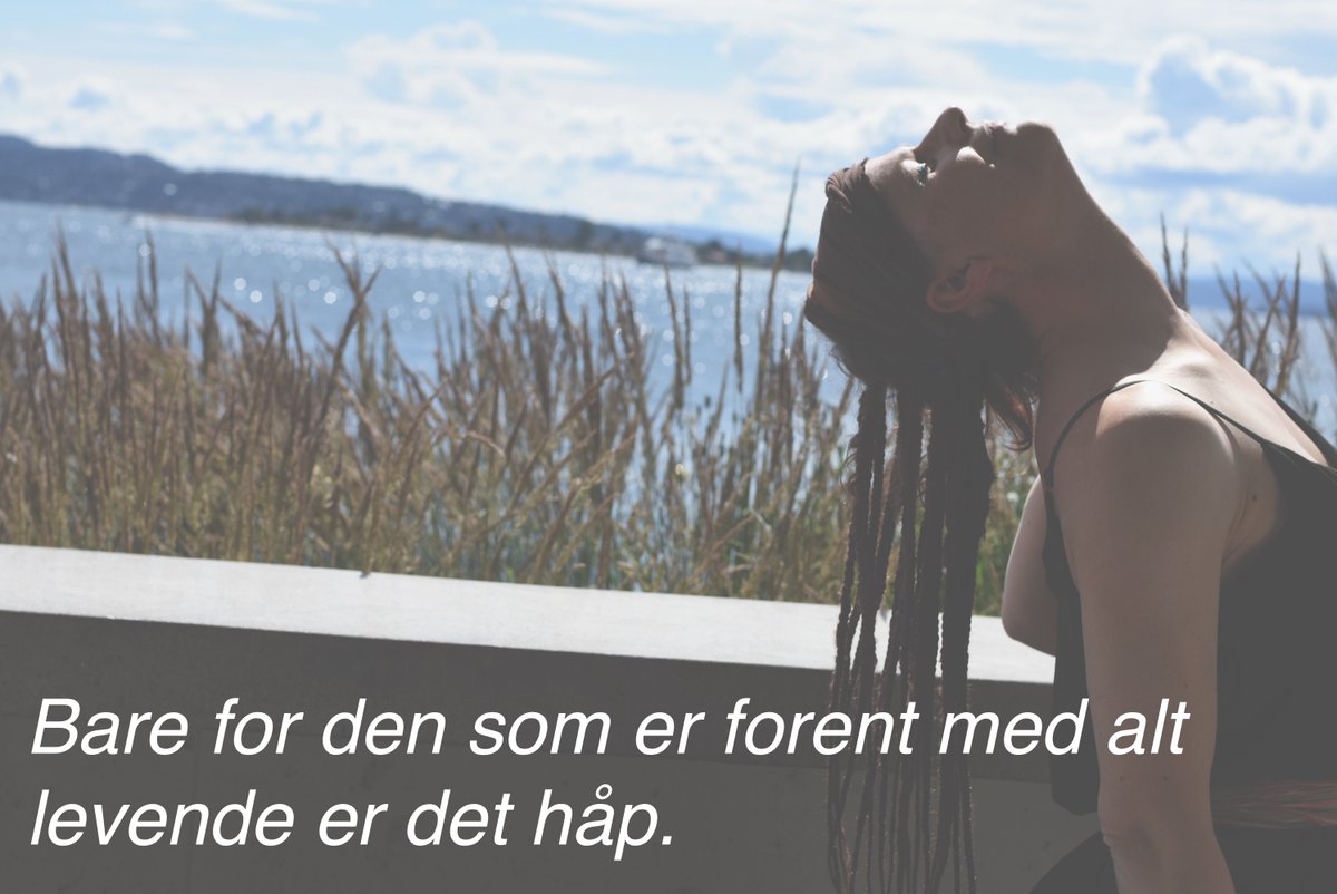 »ELSKE LIVET FANTASTISKT« vårt nye album kommer 1/11 på <a href="/FysiskFormat/">Fysisk Format</a> (FY135LP) 💚🏳️⚓🌹🦅foto: Gabriella Holsten