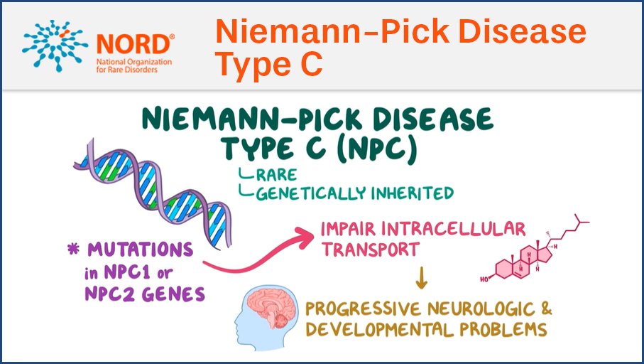 NNPDF on X: #NNPDF partnered with @RareDiseases to create this animated  educational resource on Niemann Pick Type C. Please help us raise awareness  of #NPC by sharing this video with your networks