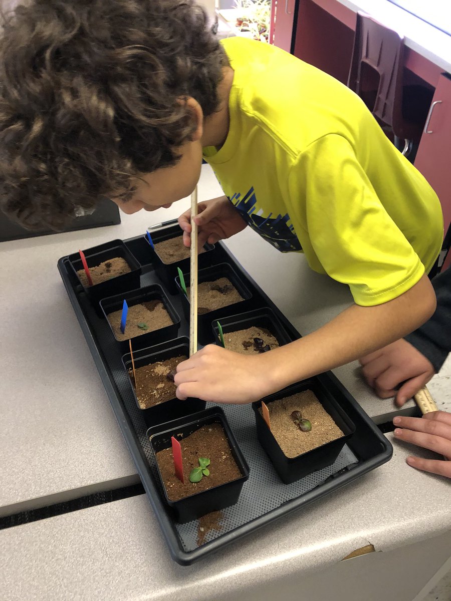 Day 14 measuring the growth of our plants. Students worked on measuring the plant height, depth and width on Monday. @GrowBeyondEarth #nuggetsonmars19 @UwharrieRidge