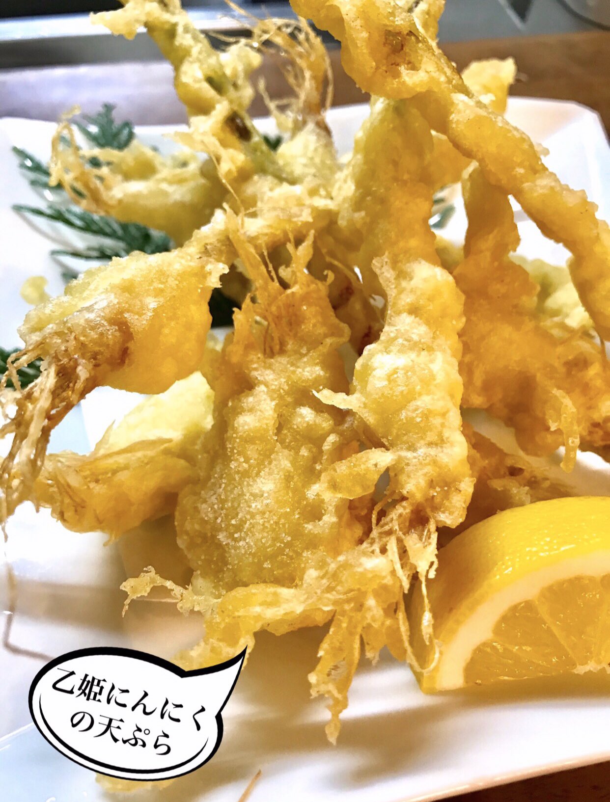 ひなママ 乙姫にんにくの天ぷら をご紹介 水耕栽培で育てたにんにくを2週間ほどで収収穫した 若いにんにくなので茎 にんにく 根のすべてが食べられます にんにく特有の臭味が少なくて良いです 乙姫にんにくの天ぷら 味よのより道うしじま 居酒屋 ひなママ 乙姫にんにくの天ぷら をご紹介 水耕栽培で育てたにんにくを2週間ほどで収収穫した 若いにんにくなので茎 にんにく 根のすべてが食べられます にんにく特有の臭味が少なくて良いです 乙姫にんにくの天ぷら 味よのより道うしじま 居酒屋