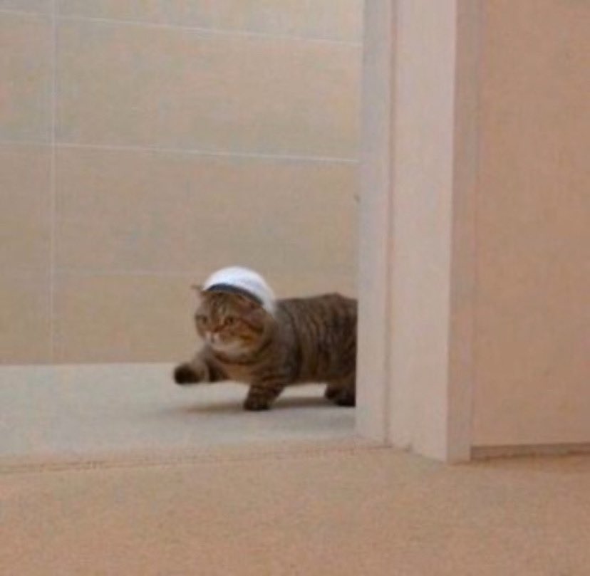 tiny__yong's tweet image. 