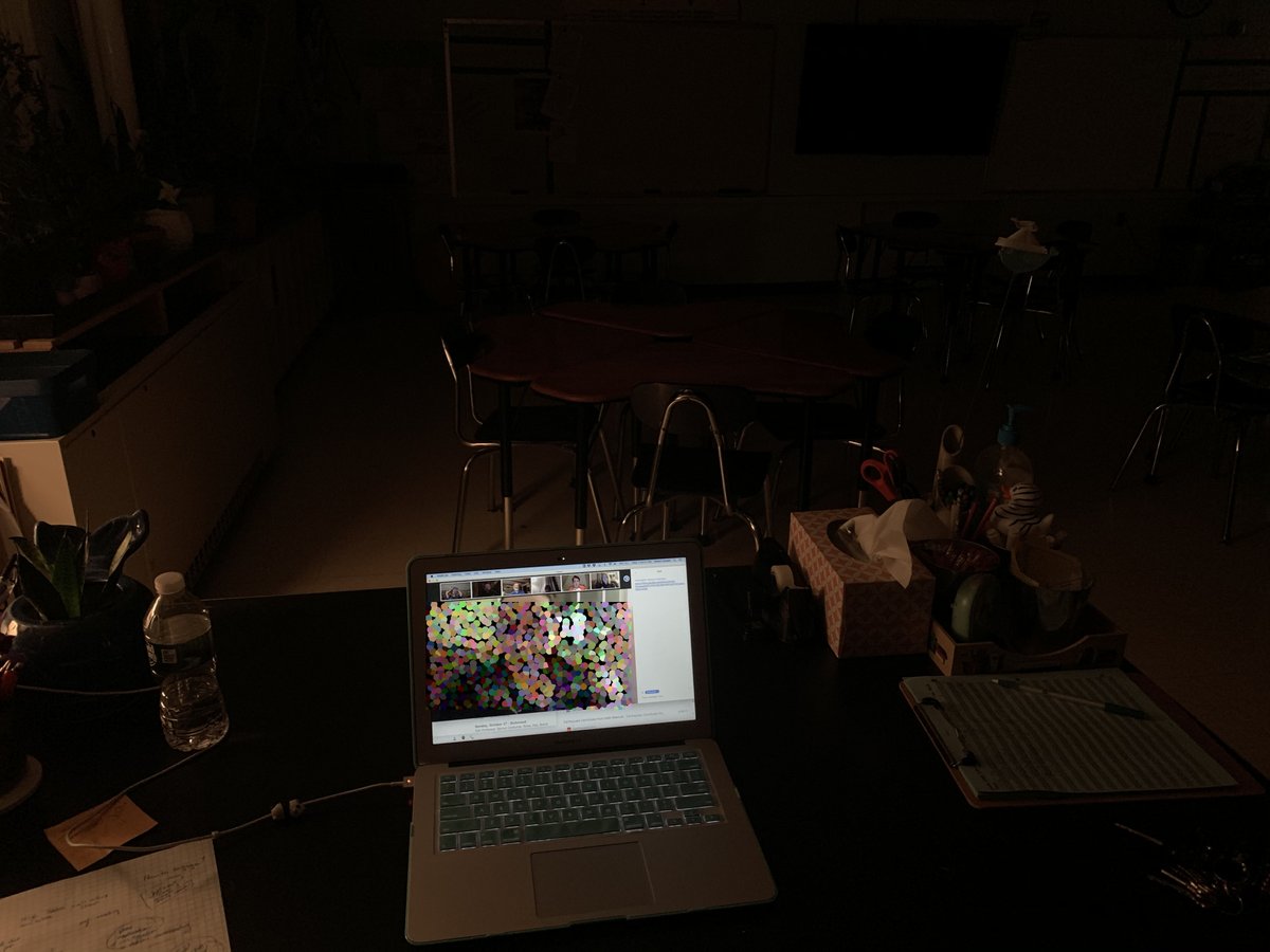 Shana Goodall (she/her) tweet media