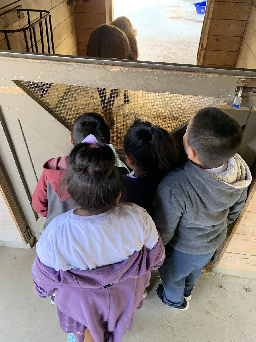 k_1buzz's tweet photo. We couldn’t have asked for a more perfect day for a trip to the Museum of Life and Science! https://t.co/NucdusR6oW