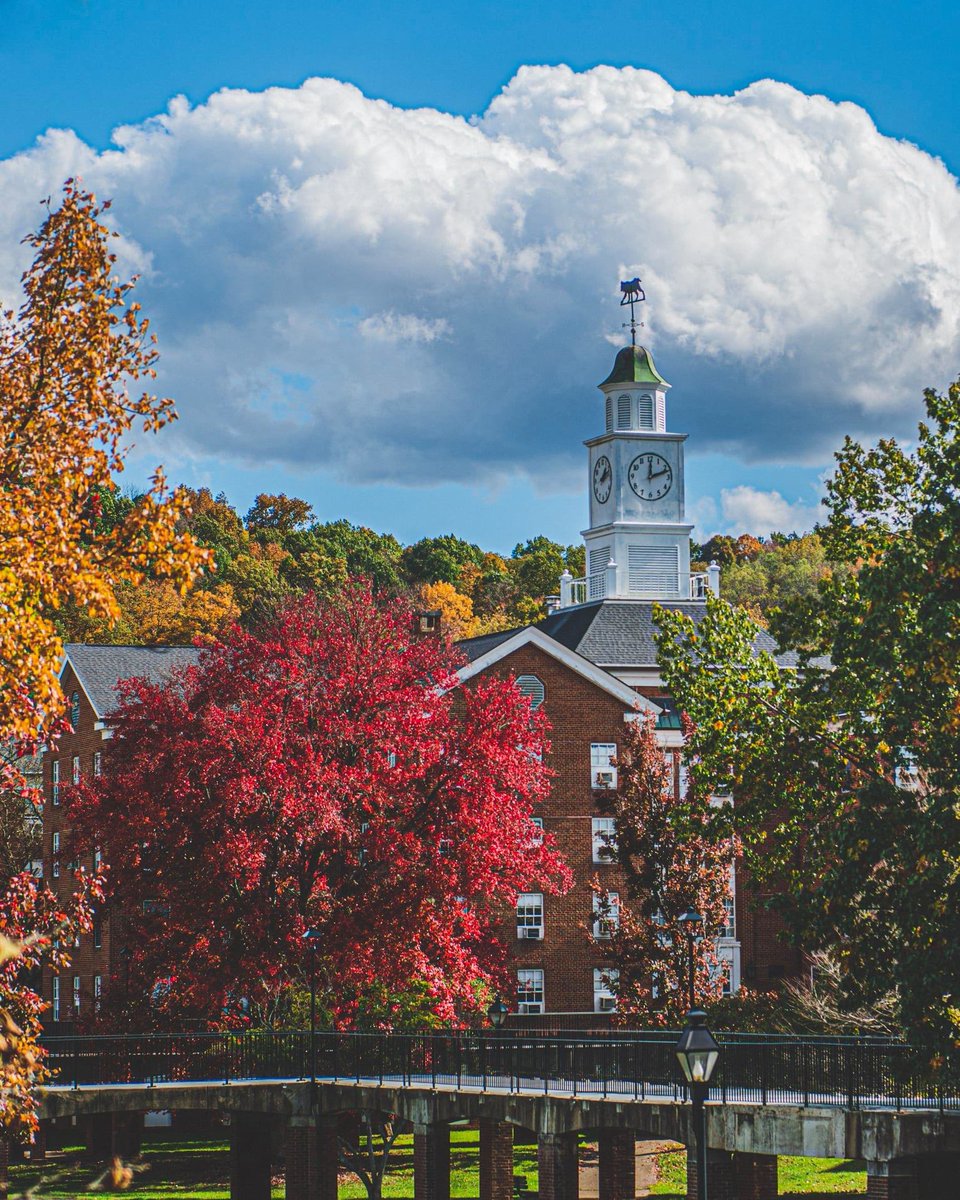 buckeyesarah1's tweet image. OU oh yeah💚🍁🥰
#SouthGreen #frontfour #myhome