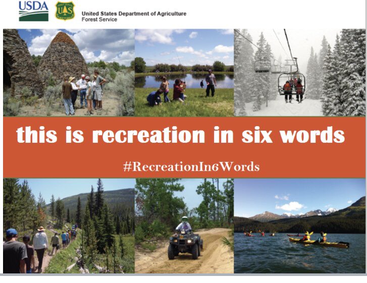 Michiko Martin tweet media