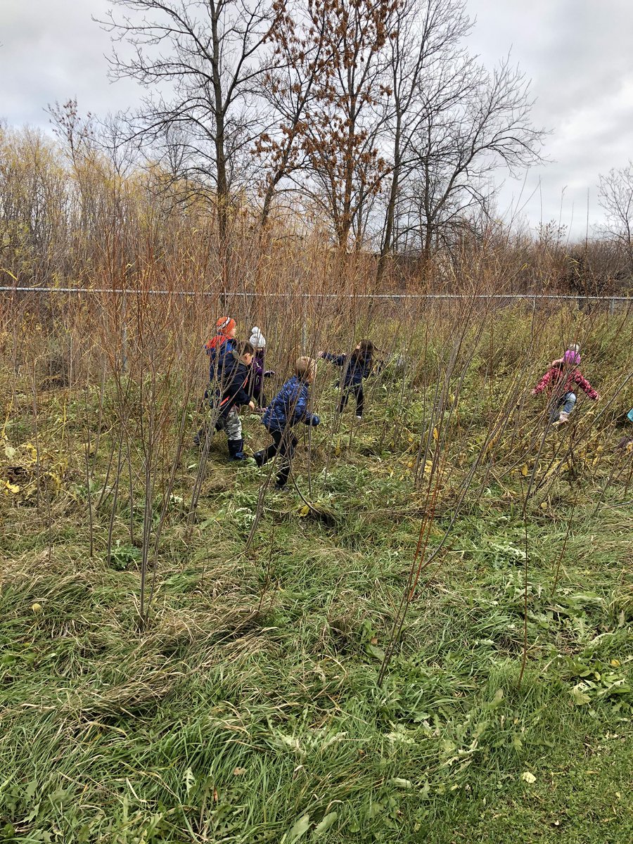 room3adventures's tweet photo. Take Me Outside Day 2019 discoveries! @WpgBeachSchool #TakeMeOutsideDay https://t.co/LWzRvdodfW