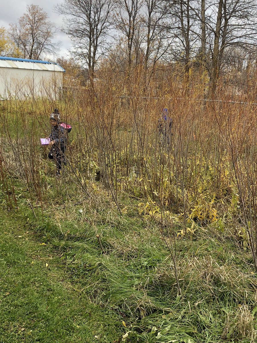room3adventures's tweet photo. Take Me Outside Day 2019 discoveries! @WpgBeachSchool #TakeMeOutsideDay https://t.co/LWzRvdodfW