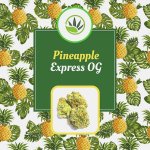 Image for the Tweet beginning: Pineapple Express [Members Only] available
