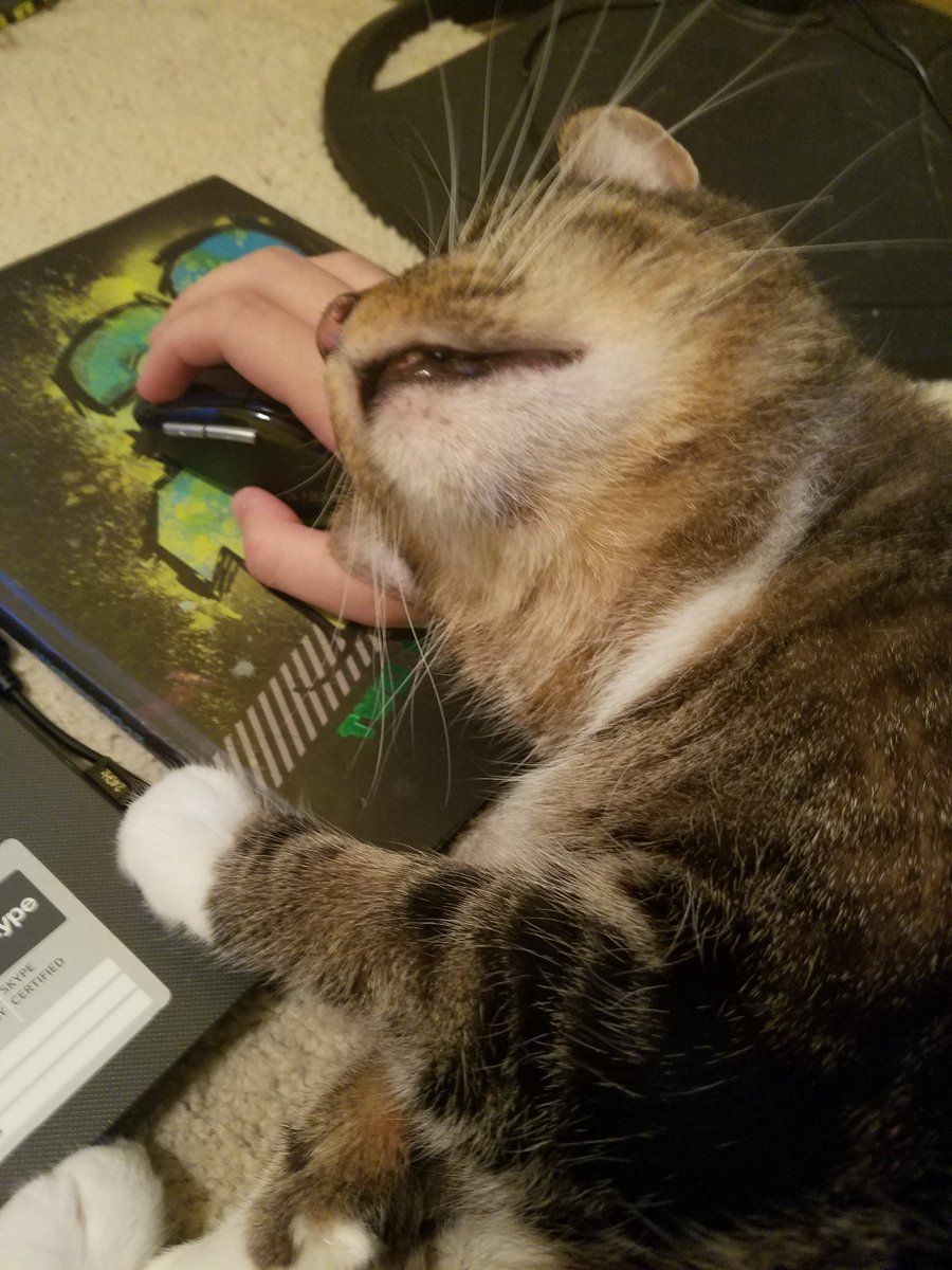PtFusion_76's tweet photo. Today I had to say goodbye to one of my best friends. He was adorable, lazy, and always wanted attention. I will forever cherish the moments I had with him. ❤ https://t.co/zReB2Au0vP
