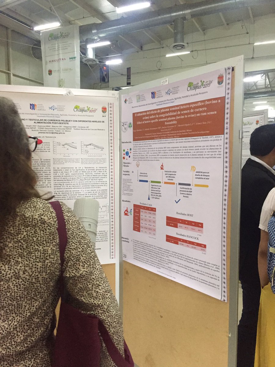 En la reunión nacional de investigación e innovación pecuaria. Presentando mi proyecto de tesis. :3 #UAQ #rniip #reproduccionanimal