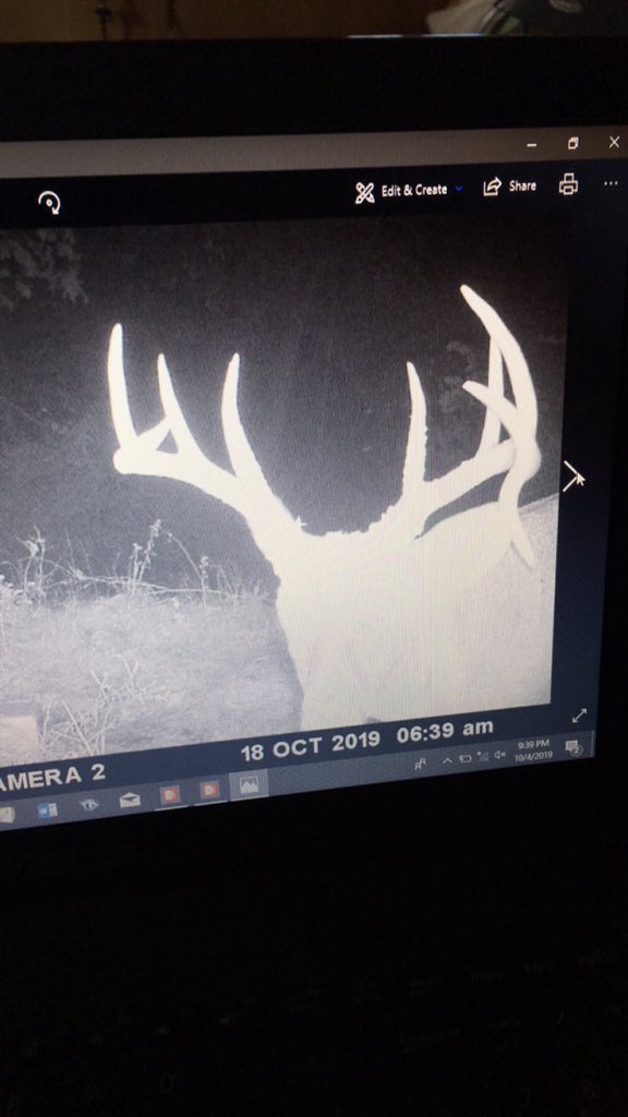 littleecker41's tweet photo. @AverageHunter split main beam or drop tine? #ohiobuck https://t.co/eYHbxqzJhe
