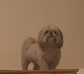 the o nly 
                     baby