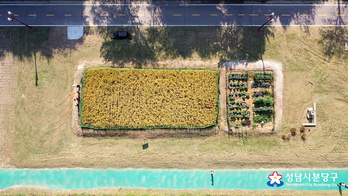 falcontm65's tweet image. ♡ 하늘에서 본 성남 ♡ - 탄천도시농부체험장

2019.10.24 탄천도시농부체험장...

#성남시 #분당구 #금곡동 #천도시농부체험장 #드론