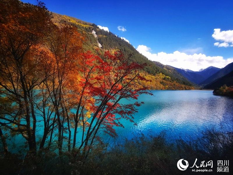 人民日報people S Daily 秋日九寨溝風景如畫 9月27日 九寨溝景區恢復重建兩年後 部分景觀重新對外開放 秋天是九寨溝最燦爛的季節 五彩斑斕的紅葉 彩林倒映在明麗的湖水中 彩色的秋葉與藍色的湖水交相輝映 美如童話