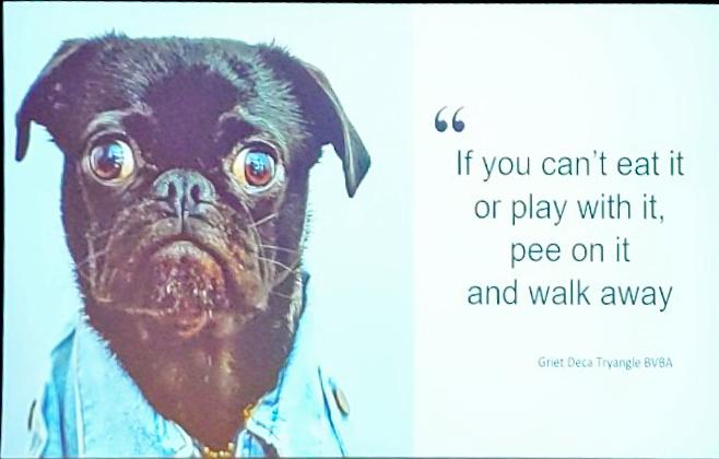 How to manage stress. The dog way. <a href="/WITWA/">Women in Technology</a> #witwaplus2019 @drjennybrockis