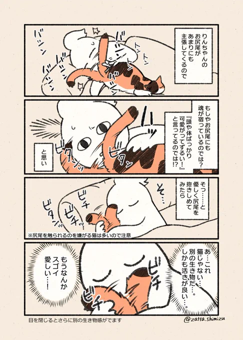 猫だけど、猫じゃない感すごかったです#私めりぃさん今ネコといるの #実録漫画 