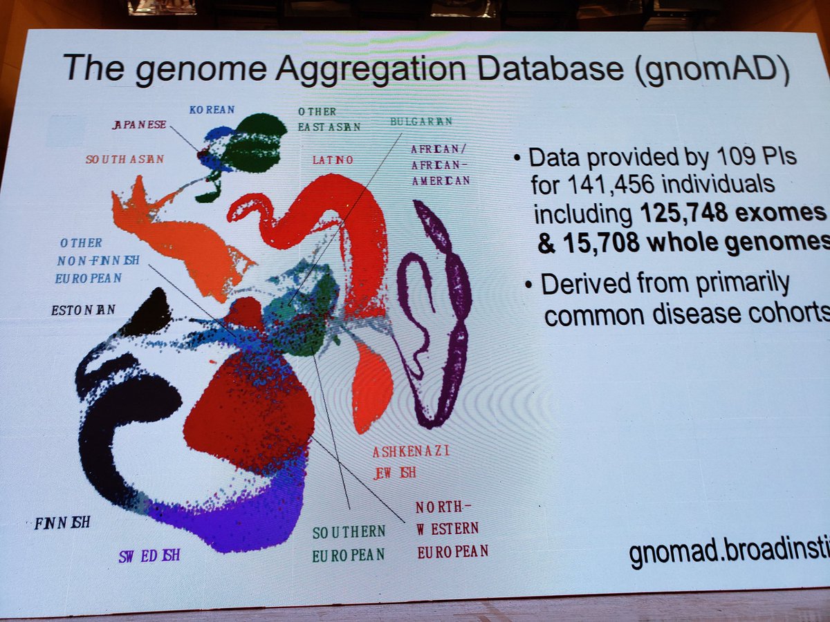 Konrad Karczewski, computational biologist at the Broad Institute, Neale group, presenting "Lessons from large genomic datasets." Picture right: science imitating art? #genomics #China #pgic