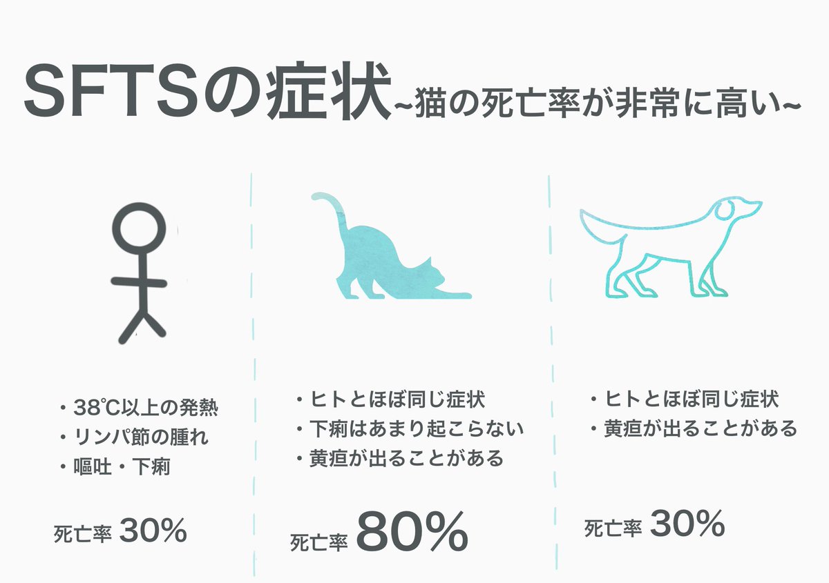 横浜動物医療センター 関内どうぶつクリニック 土日曜日祝日も営業中 重症熱性血小板減少症候群 以下sfts とはマダニ を原因とし 犬や猫からヒトへ感染する人獣共通感染症です 致死率は非常に高く 治療法も確立されていません Sftsを予防するためには 横浜動物医療センター 関内どうぶつクリニック 土日曜日祝日も営業中 重症熱性血小板減少症候群 以下sfts とはマダニ を原因とし 犬や猫からヒトへ感染する人獣共通感染症です 致死率は非常に高く 治療法も確立されていません Sftsを予防するためには