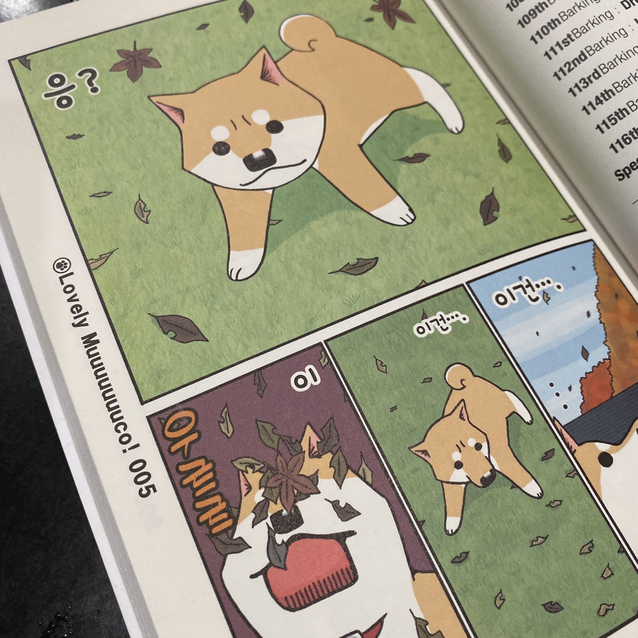 تويتر みずしな孝之 على تويتر 韓国語版 いとしのムーコ9巻ができました 毎回思いますが書き文字や擬音まで全てハングルなの凄いですね T Co Wetqmi3wch