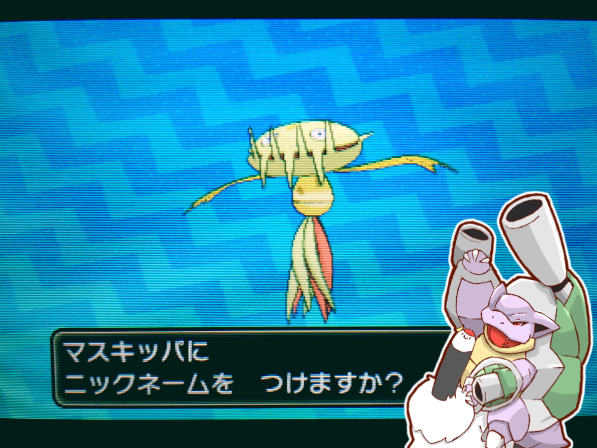 つるこ No Twitter 色違いのマスキッパ産まれました 草タイプで一番好きなんで剣盾までに取り敢えず産んどくかって気軽に始めたら5日かかって疲れました 笑 秋っぽい色合いで気に入ってます ポケモン 色違い マスキッパ ポケモン好きさんと繋がりたい