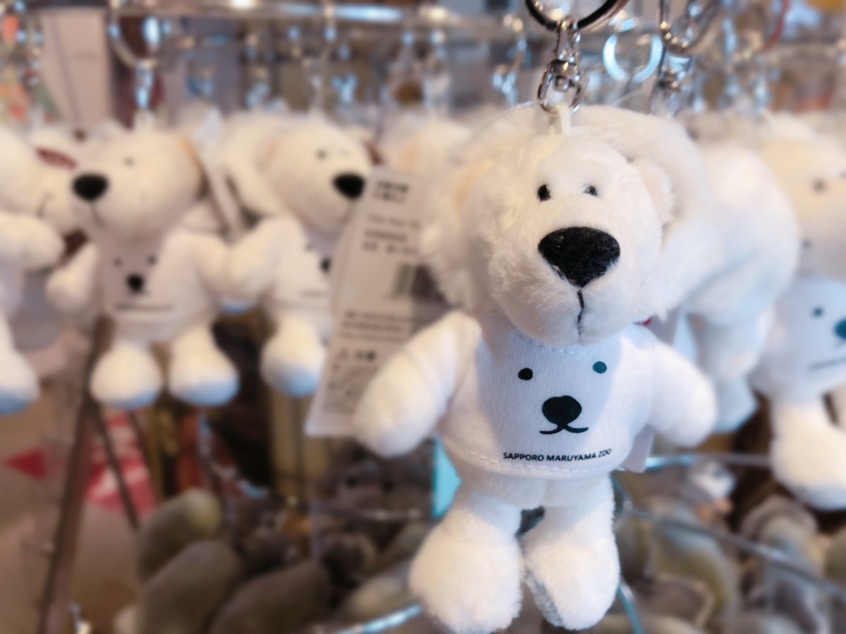 円山動物園オフィシャルショップ 人気商品ランキング Twitter