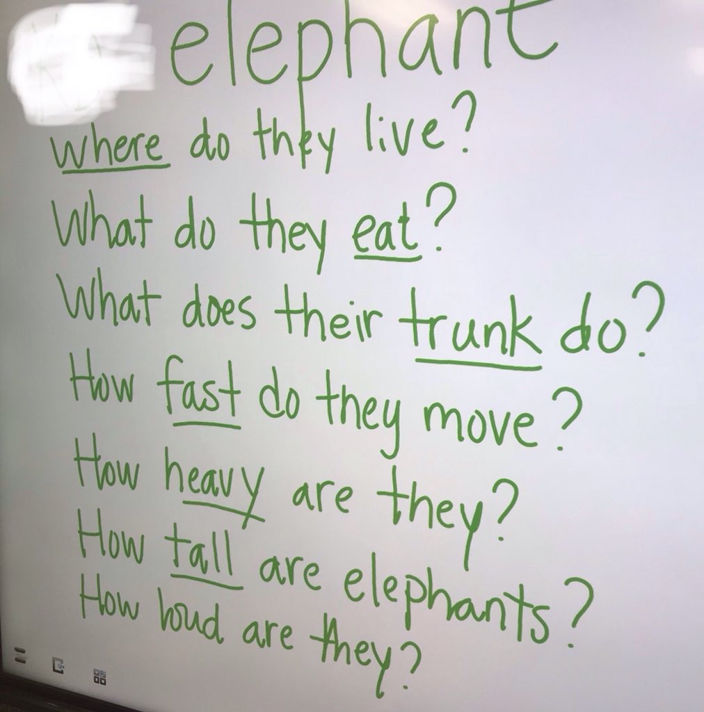 JenHoulette's tweet photo. Student-generated questions from kindergarten students to begin our research study on elephants. #sepolk #sepwb https://t.co/NtpQW0QgWJ