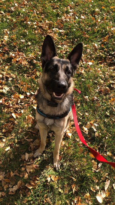 Watch toast's leaked NSFW photo on TwXstars