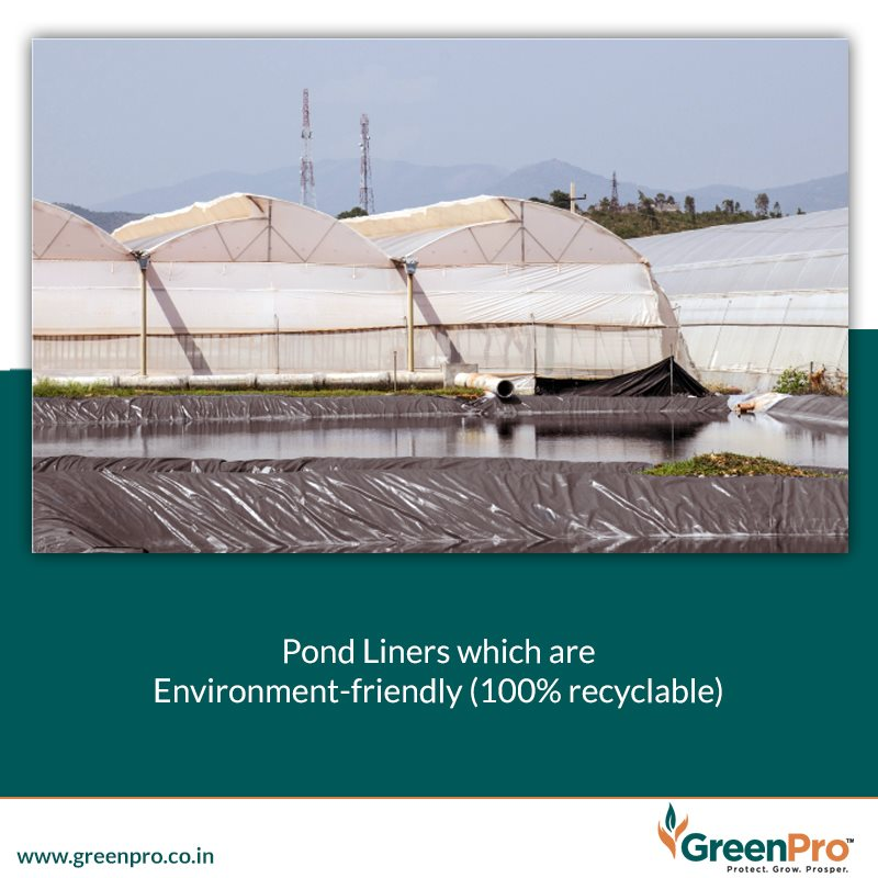 Rishifibc's tweet photo. Our pond liner has extra ordinary strength and very high puncture resistance, they are Non-toxic, no PVC or other hazardous materials.
For more information visit: https://t.co/h1WmU57MYN
#PVC #PondLiners https://t.co/FJIbqduKUx