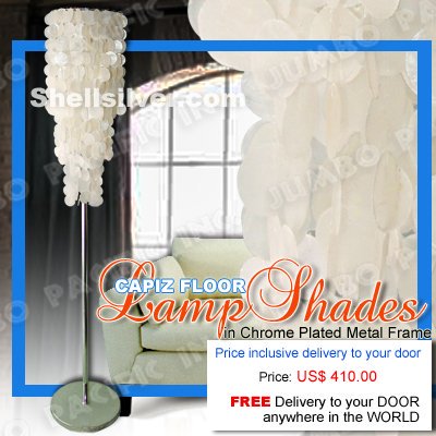 JumboPacificInc's tweet image. #electricfitting
#capizshellcollection
#capizchipsstrand
#chromeplatedmetalframe

shellsilver.com/index.php?c=10…