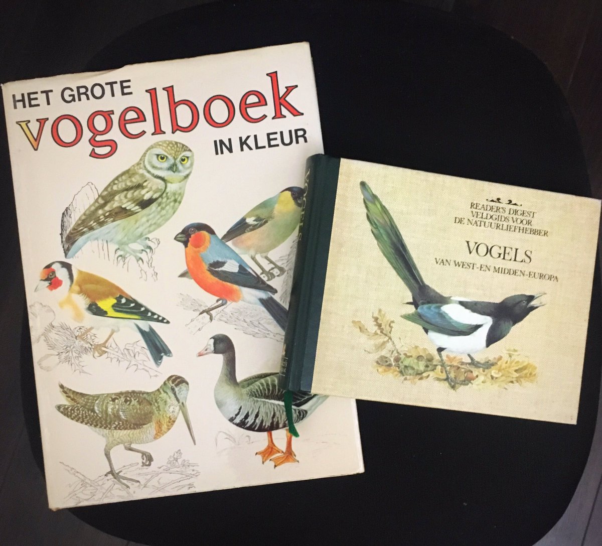 When you visit a friend by chance...and you end up with a cosy seat in front of a warm fireplace, a delicious hot meal and some beautiful books she’s bought you as a present at a vintage bookfair during the summer❤️
#book #books #birds #birdbooks #art #vintageart #vintage #gift