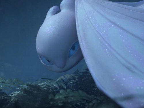 Looks like a night fury AND light fury #MiraculousLadybug #chatblanc