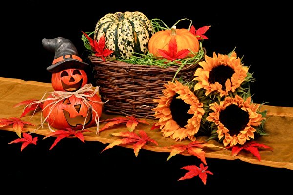 🔮🥀🍂⛪⚰⚱🎃Уважаемые подписчики! С 25 Октября  2019 года до 31 Октября  2019 года будет проходить  АКЦИЯ на ГАДАНИЯ. Теперь ГАДАНИЯ будет  стоить  всего 1000 т.р. Спе🎁🃏🦇💉🧷Запись по телефону:📱 +79518002619☎️🧴🧹🕷🦂#Вуду#Таро#Магия#Хеллоуин #Карты#Тыква#Джек#Фонарь#Зло#