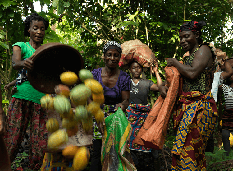 Fairtrade welcomes the clear call by the governments of Côte d’Ivoire and Ghana to the cocoa industry to focus on paying the Living Income Differential for increased farmer incomes.

Full statement: bit.ly/2ofoTht