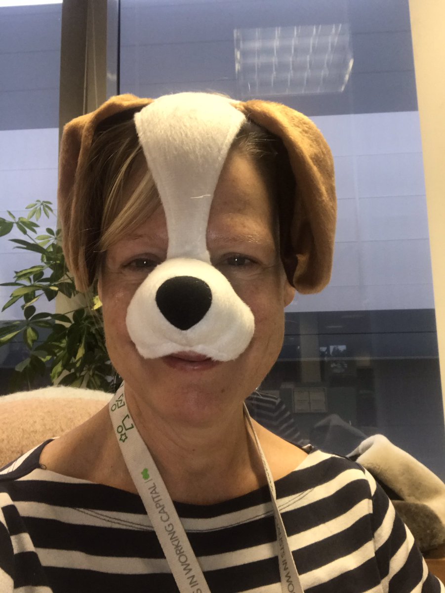 Mrs_Clayts's tweet photo. Dogtober for @DogsForGoodUK at Lloyds - and then they were gone! https://t.co/HkegEFacRJ
