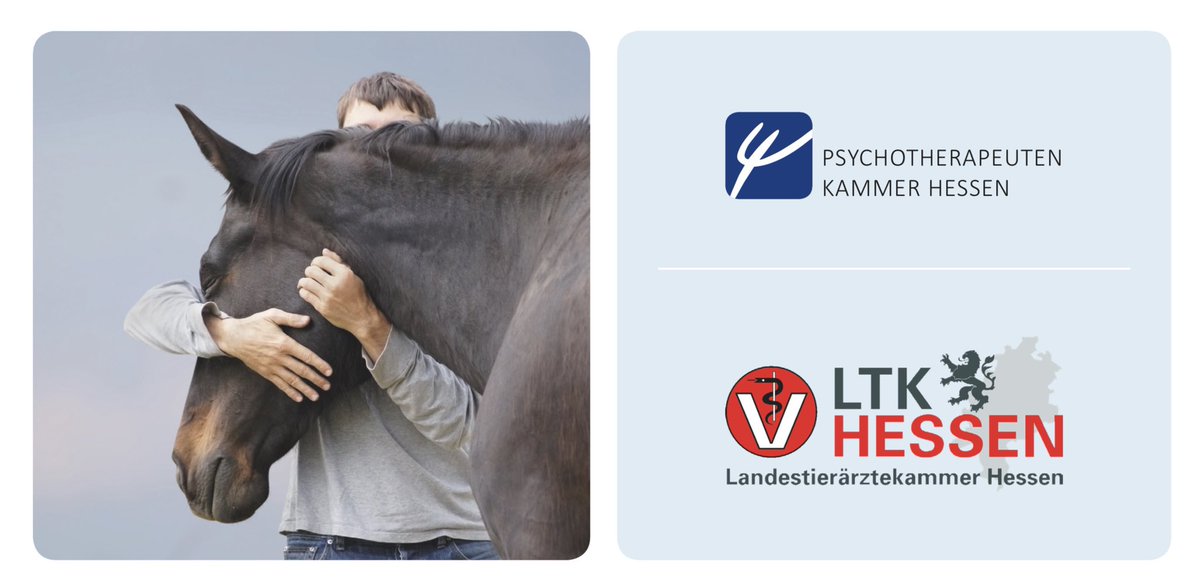 #Tiere in der #Psychotherapie - zum Beispiel als „Eisbrecher“ ...
Fortbildung am 8. November 2019 in Frankfurt am Main - mit dabei: <a href="/GanserGerd/">Gerd Ganser</a> vom „Institut für Hundegestützte Psychotherapie“. Heute (24.10.19) ist Anmelde-Schluss:
lppkjp.de/wp-content/upl…

#Tierärzte #Tierschutz