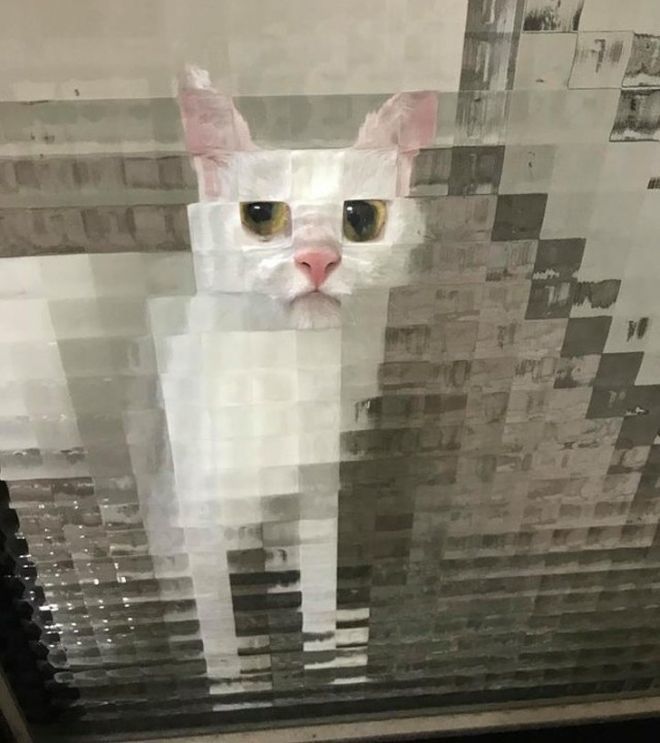 LeeBinding's tweet photo. I think y'all need to see this. It's important. https://t.co/kiutnVKnKP
