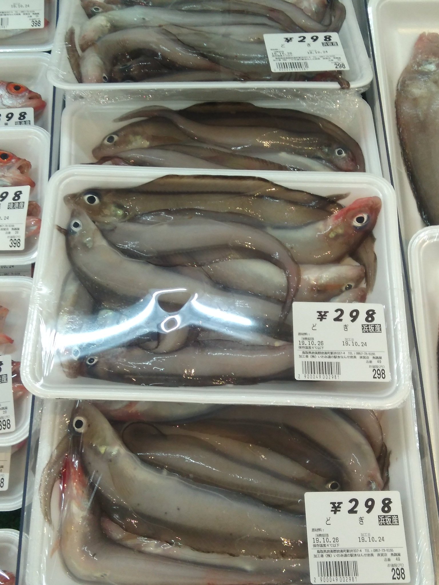 Micchan Pa Twitter 鳥取県の謎の魚 どぎ ばばあ って何者 どぎはゲンゲのこと ばばあはウマヅラハギのこと 誰か教えて下さい