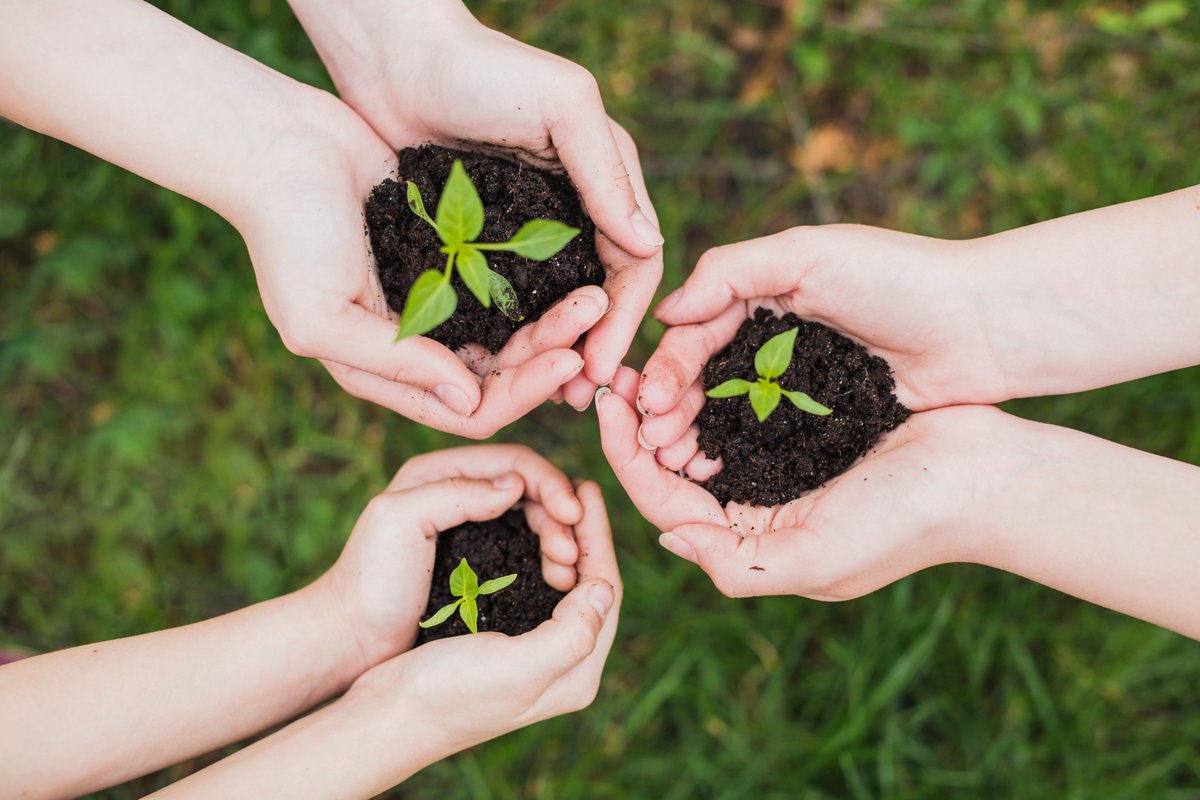 BiatGroup's tweet photo. 🌎🍃♻️ Hoy es el #DiaInternacionalContraElCambioClimático, un desafío que entre todos podemos conseguir #CambioClimatico https://t.co/gSgfeCTFxo