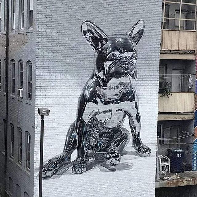 MolinaStreetArt's tweet photo. 'The Chrome Dog' by Puerto Rican artist Bikismo in Salem (MA), USA (2018)

#chrome #dog #bikismo #salem #massachusetts #salemstreetart #streetart #urbanart #graffiti #mural #wallpainting

📷 via Pinterest | https://t.co/7Ia1adYiJN https://t.co/uIA4FDksvN