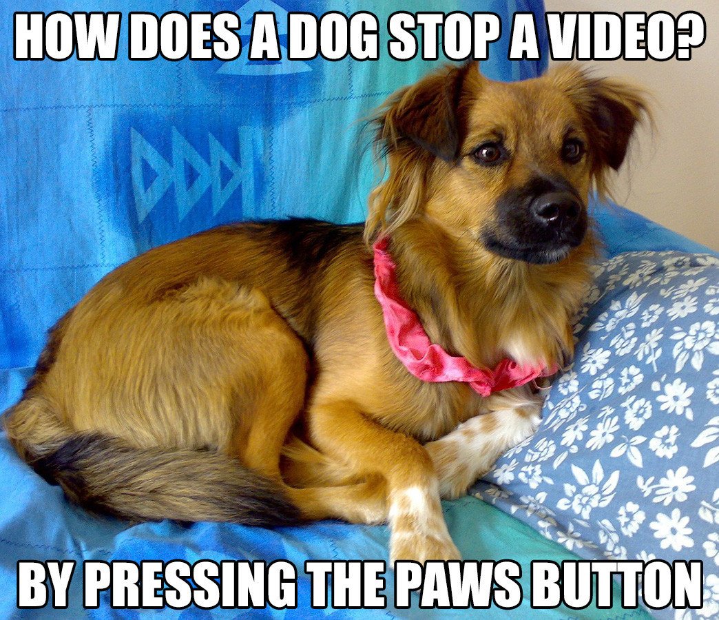 Gary Outrageous (@gary_outrageous) on Twitter photo 