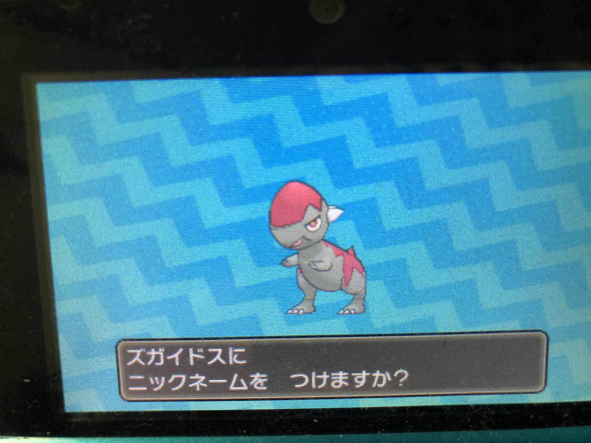 ズガイドス 色違い