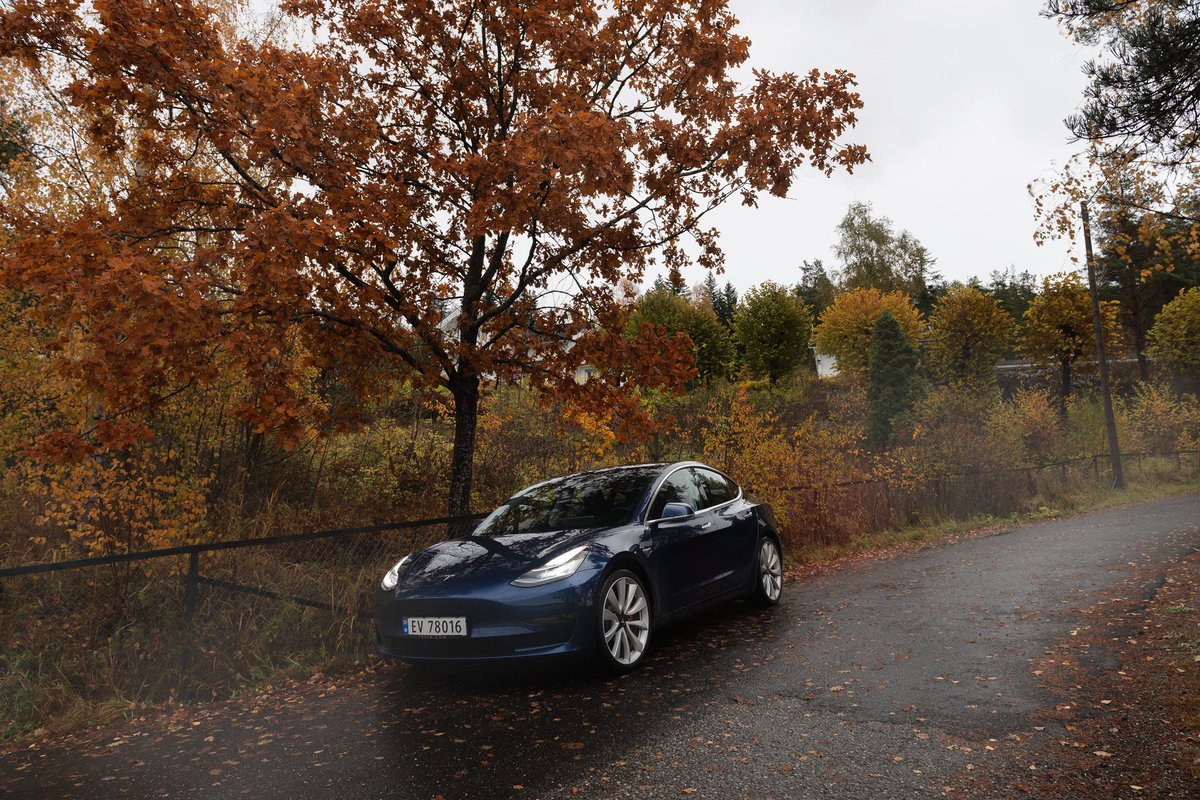 IgorStrlek's tweet photo. Love this time of year 🍂 #tesla #teslamotors #teslalife #teslamodel3 #model3 #model3performance #fall #foggy  #automotivephotographer  #automotive #photography  #automotivelifestyle #automotivephotography  #carshooters https://t.co/qOvRiG3XRO