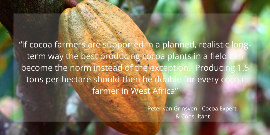Want to learn more about the importance of #soilfertility for the future of #cocoa production? Check out our interview with Peter van Grinsven, consultant and cocoa expert with over 34 years experience: buff.ly/2JeZwUm