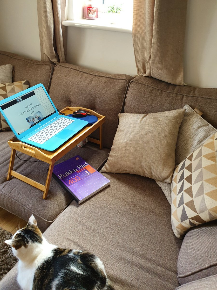 StephaniePUNC19's tweet photo. Set up for the day complete with coffee and cats #webinar #NRS415 https://t.co/UfNrxYv3ix