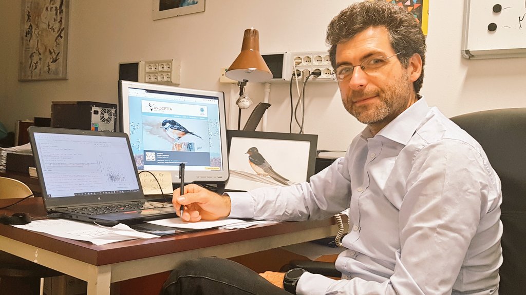 Avocetta tweet media