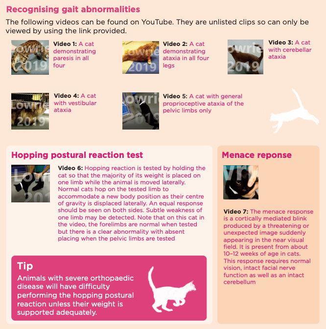 International Society Of Feline Medicine Mark Lowrie Provides A Detailed Overview Of The Approach To Neurological Assessment And Fascinating Video Examples Of Neurological Signs In October S Issue Of Felinefocus Nursing